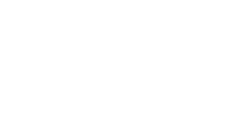 Home Depot